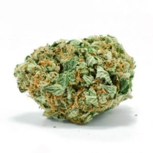 buy jedi kush online